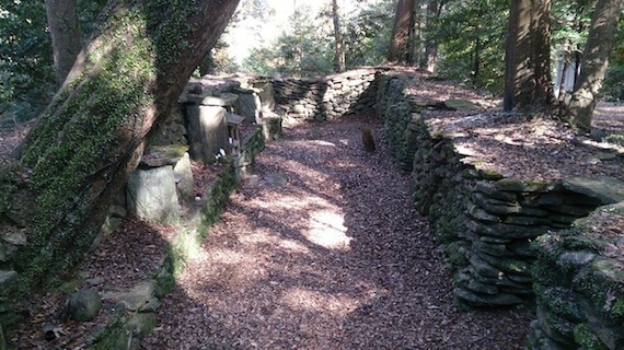 1472724_719965411407751_1068351125662206541_n