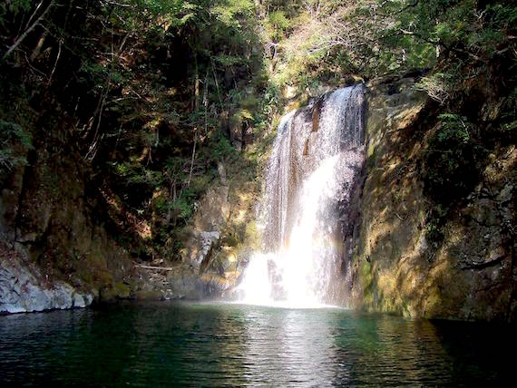 11008398_797846780286280_6633159456978365455_n