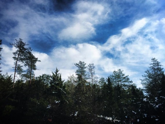 10245448_821993194527038_2935514765608878454_n