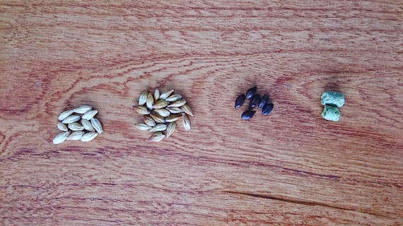 CYMERA_20150413_130437