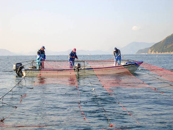 12498844_932465823505460_145213289_n