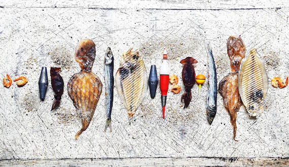 <盛り付け>でクリエイティブを体験する