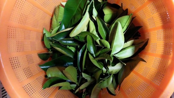 12743833_924001864382403_2276277146890019608_n