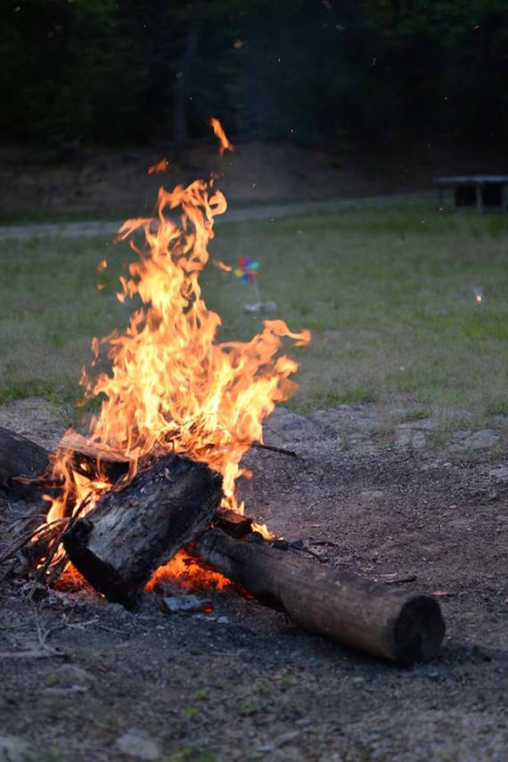 13178047_1729086137306185_2317631560739854354_n