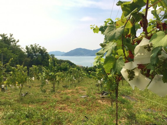 ファイル_001_1600-1200