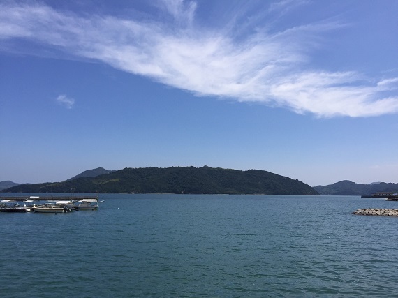 大三島の香りが直感を刺激する