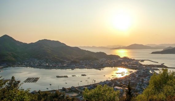 11222148_1690464537852178_3873182266984250052_o