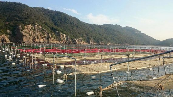 12193780_1627083284209512_1720942901126154223_n