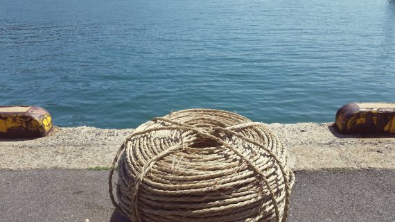 リュウビンい草で「しめ縄」を作ろう