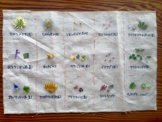 15401183_383815691953998_5993323070685710515_n