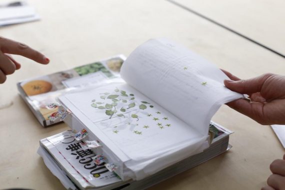 17342652_1386461298080222_8010198595019178401_n