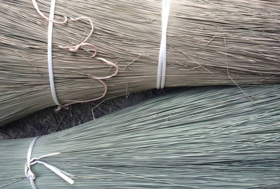 12933114_1052030004842810_7447835728582894533_n