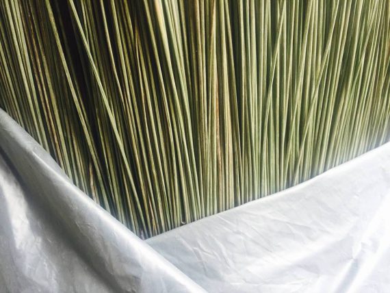 17201427_1338973179481823_5216841152974138046_n