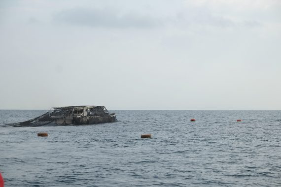 瀬戸内で受け継がれる日本の海苔漁と暮らし