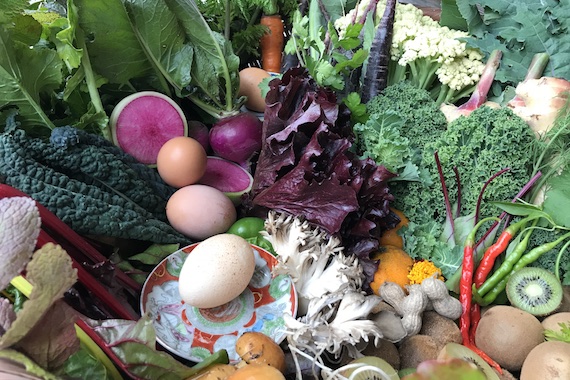 志和の魅力をまるごと味わった2日間