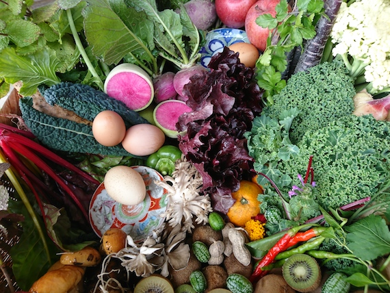 和を志す、一期一会の志和