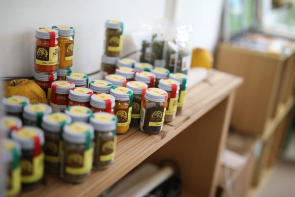 Curator’s voice -『インドに学ぶスパイス学』講義レポート