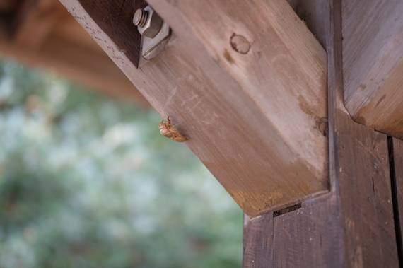 Curator’s voice -『しぜんな身体の整え学』秋の養生編・講義レポート