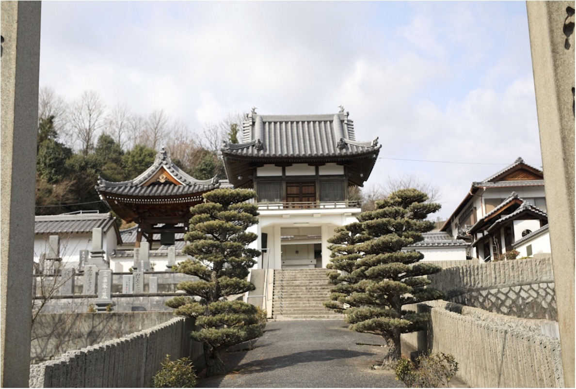 禅を通じて見つけるゆとりライフ